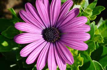 注册码便宜的ddos工具下载