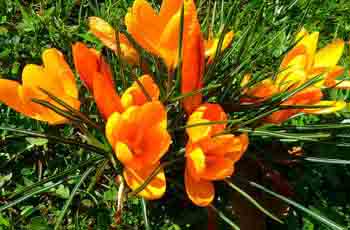 ddos服务器攻击手段