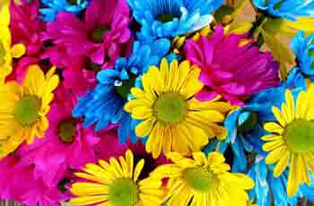 ddos服务器攻击手段